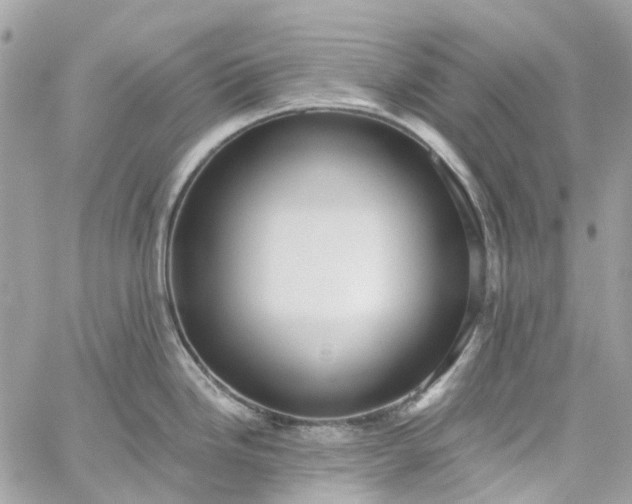 X0000059241246200510281923