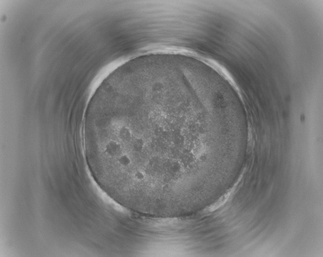 X0000059241247200510281923