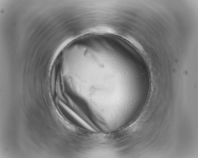 X0000059241248200510281923