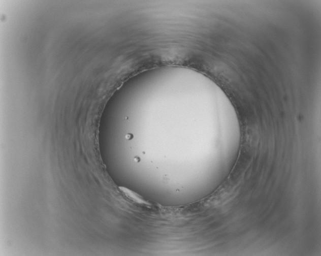 X0000059241249200510281922