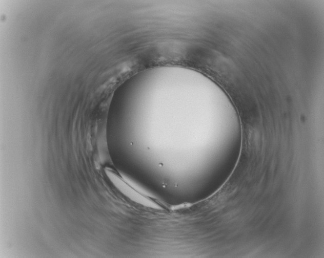 X0000059241250200510281922