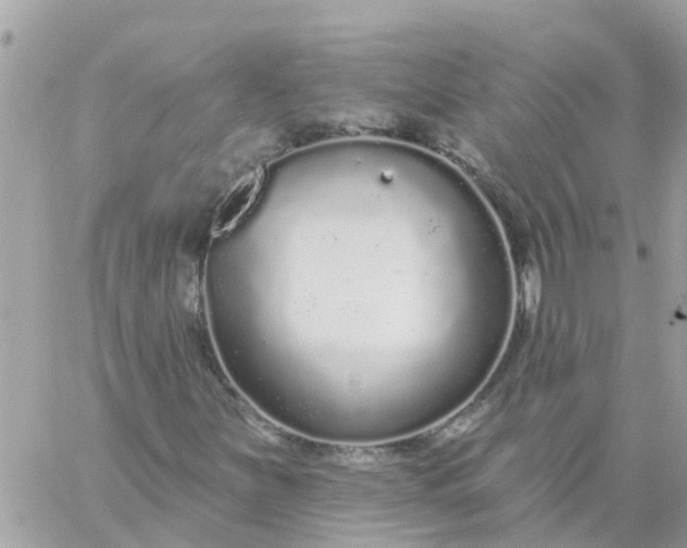 X0000059241251200510281922