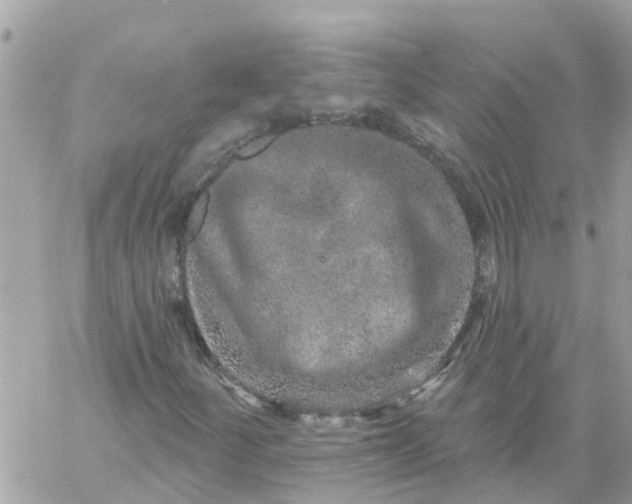 X0000059241252200510281922