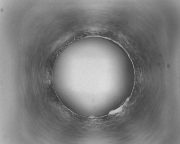 X0000059241253200510281922