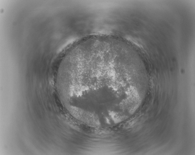 X0000059241254200510281922