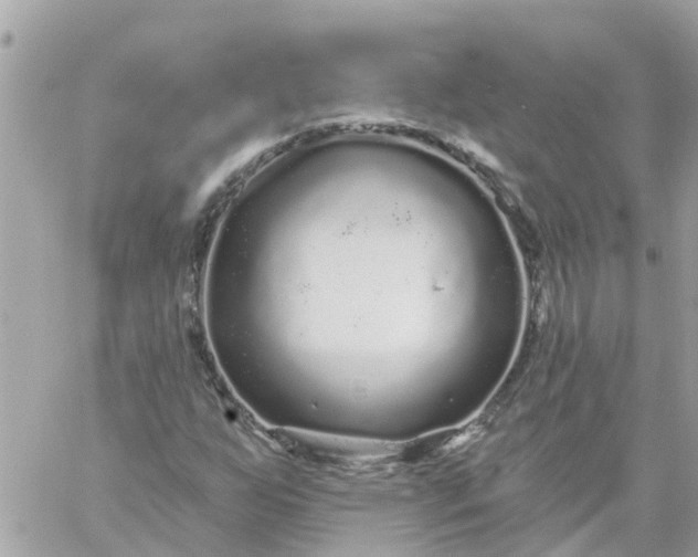 X0000059241255200510281922