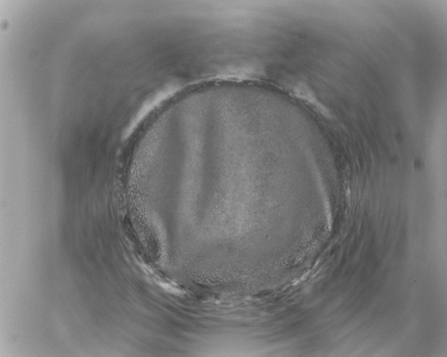 X0000059241256200510281922