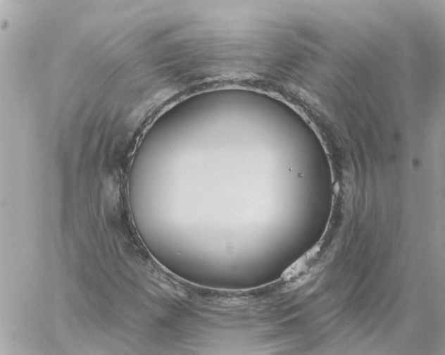 X0000059241257200510281922