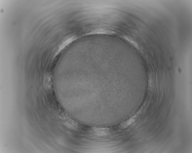 X0000059241258200510281922