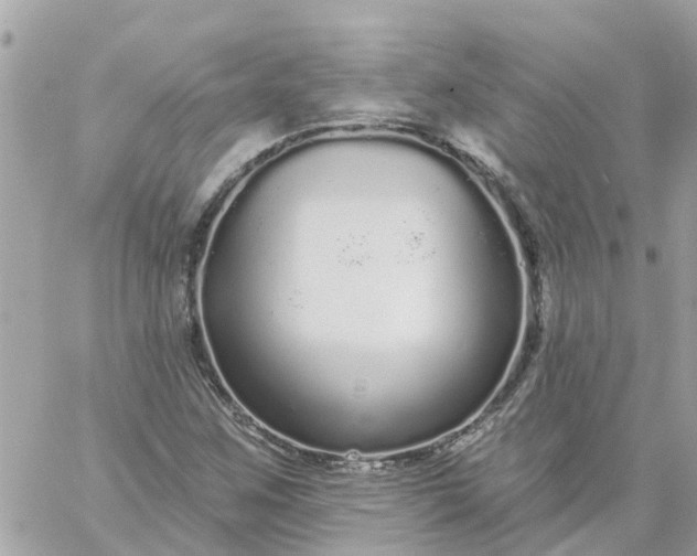 X0000059241259200510281922