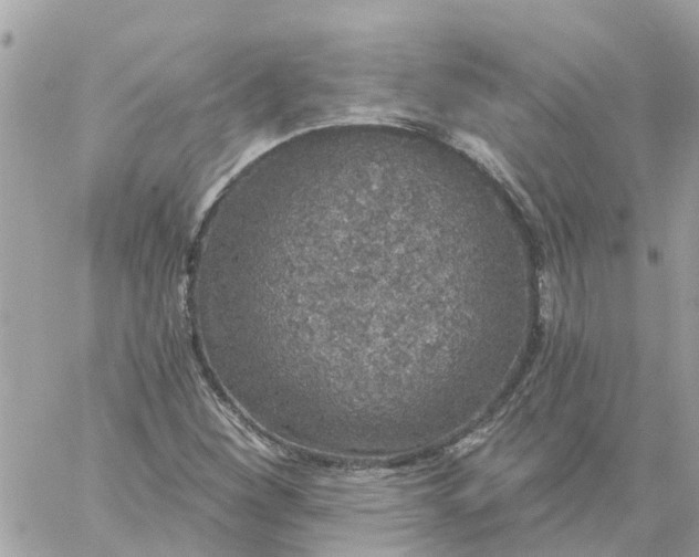 X0000059241260200510281922