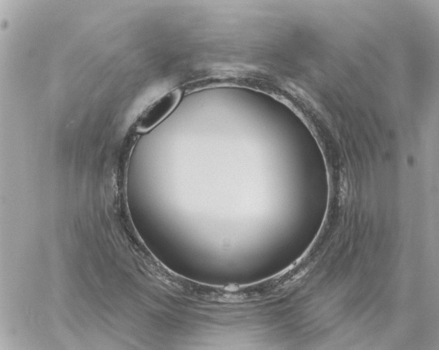 X0000059241261200510281922