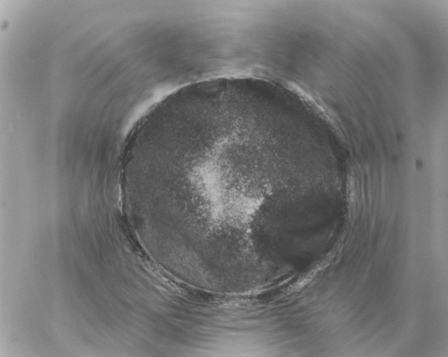 X0000059241262200510281922