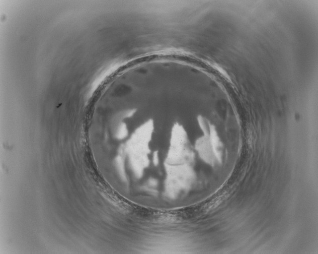 X0000059241263200510281922