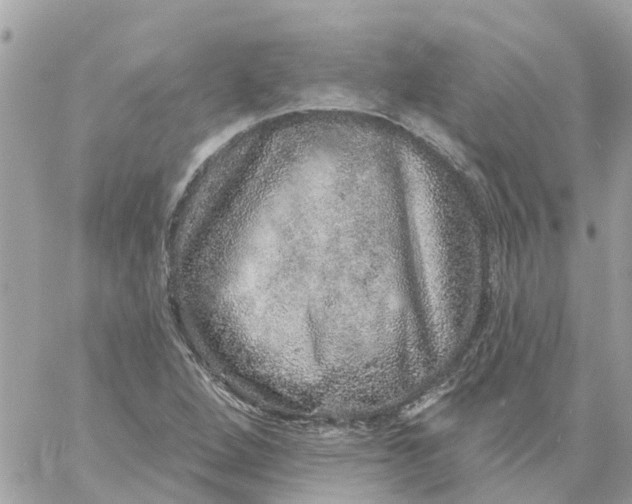 X0000059241264200510281922