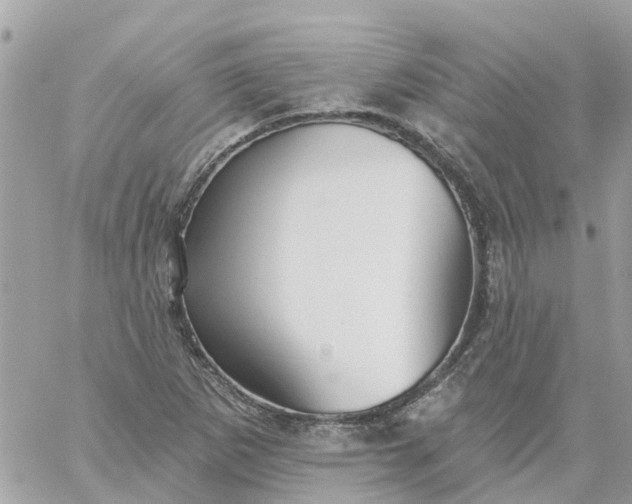 X0000059241265200510281922