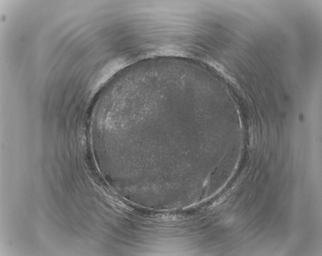 X0000059241266200510281921