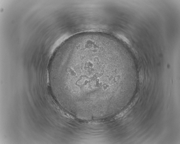 X0000059241267200510281921