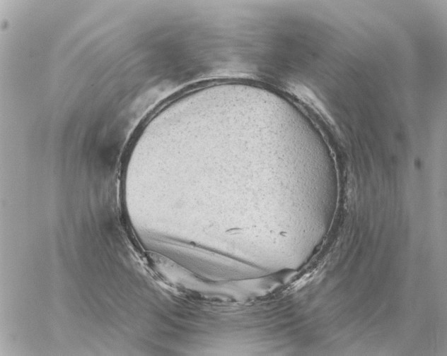 X0000059241268200510281921