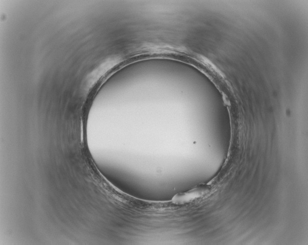 X0000059241269200510281921