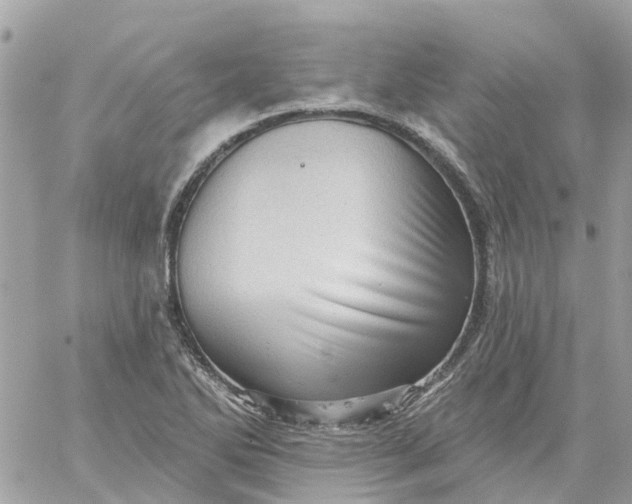 X0000059241270200510281921