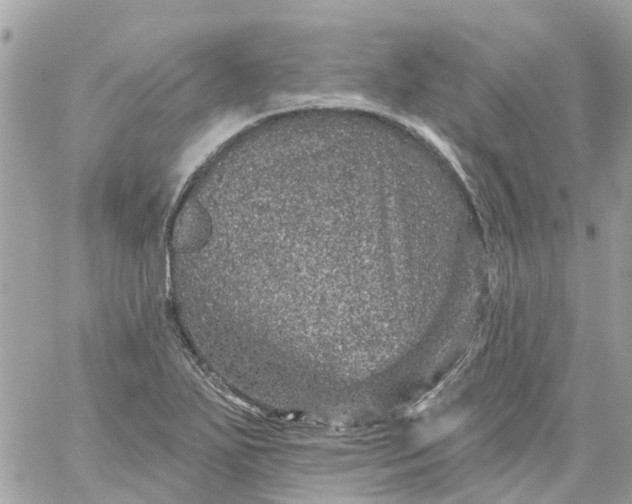 X0000059241271200510281921