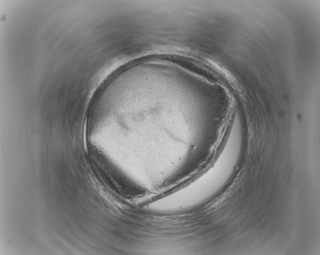 X0000059241272200510281921