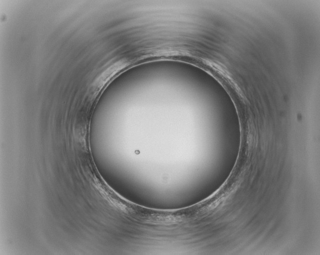 X0000059241273200510281921