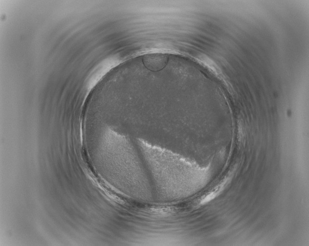 X0000059241274200510281921