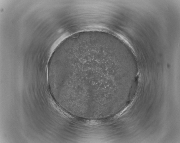 X0000059241275200510281921