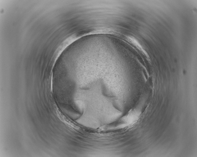 X0000059241276200510281921