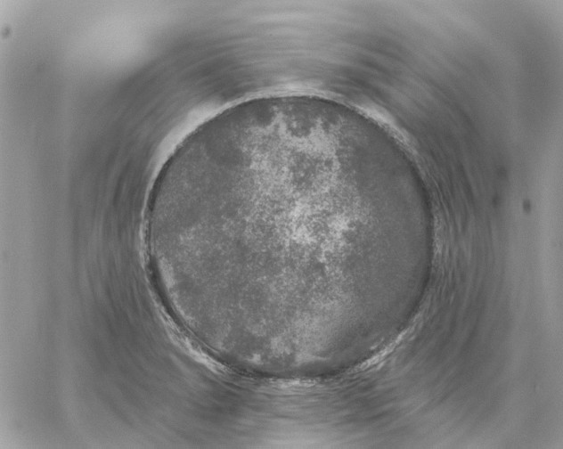 X0000059241278200510281921