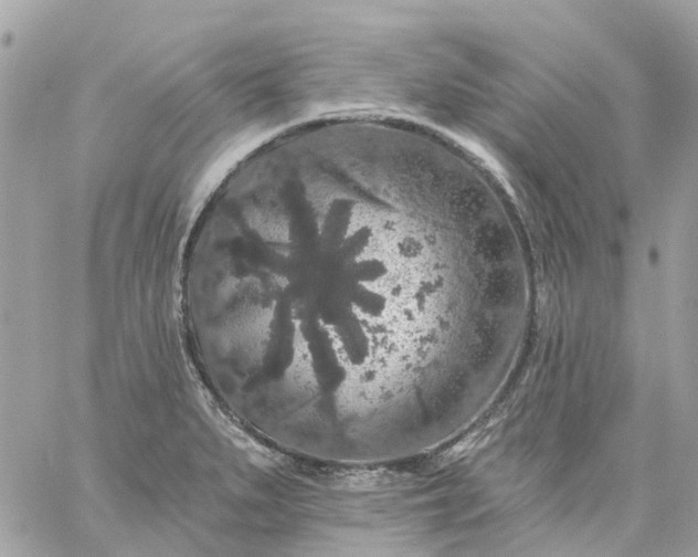 X0000059241279200510281921