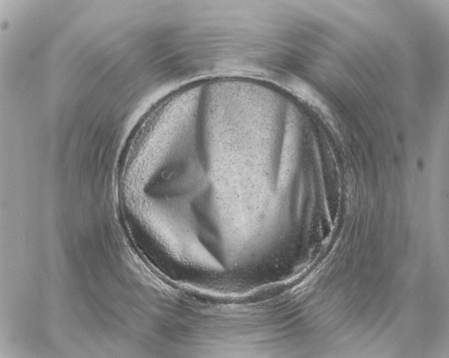 X0000059241280200510281921