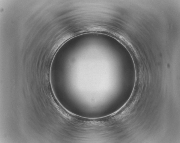 X0000059241281200510281921