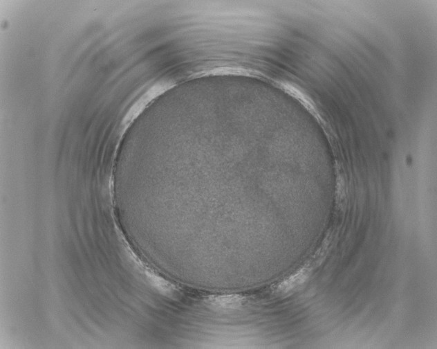 X0000059241282200510281921