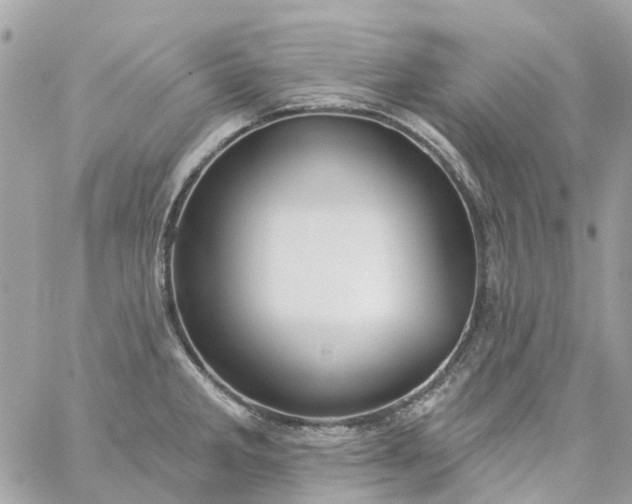 X0000059241285200510281921