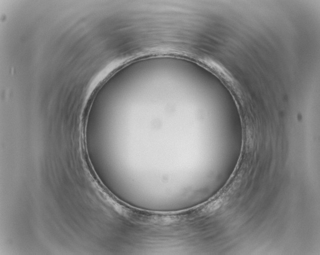 X0000059241286200510281921