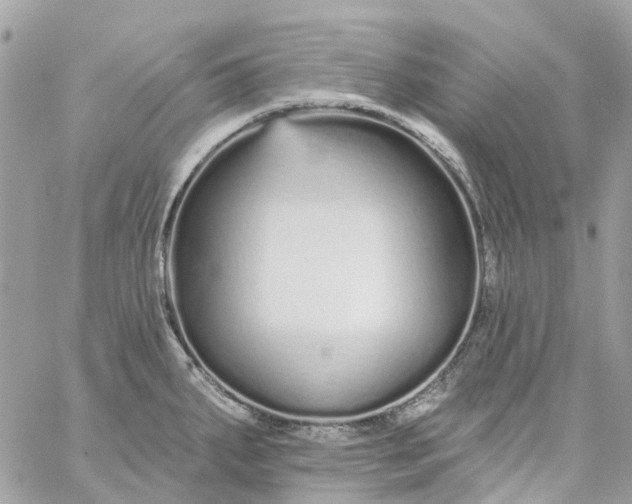 X0000059241287200510281921