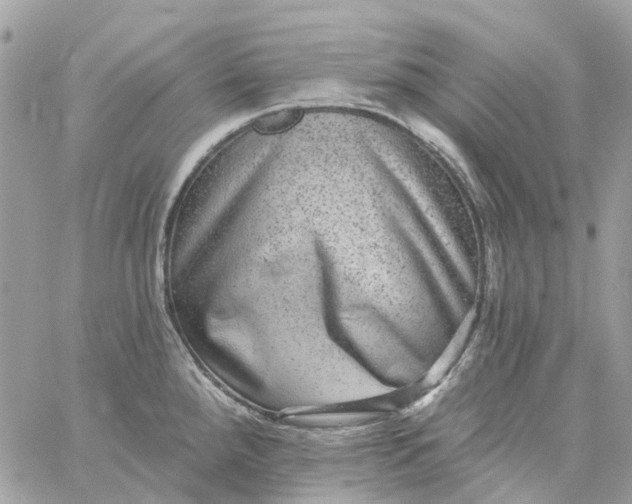 X0000059241288200510281921