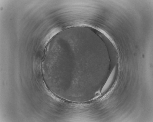 X0000059241289200510281921