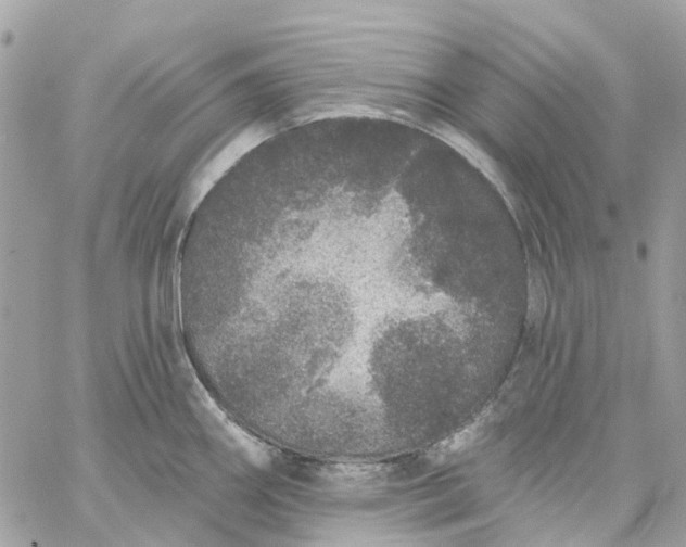 X0000059241290200510281921