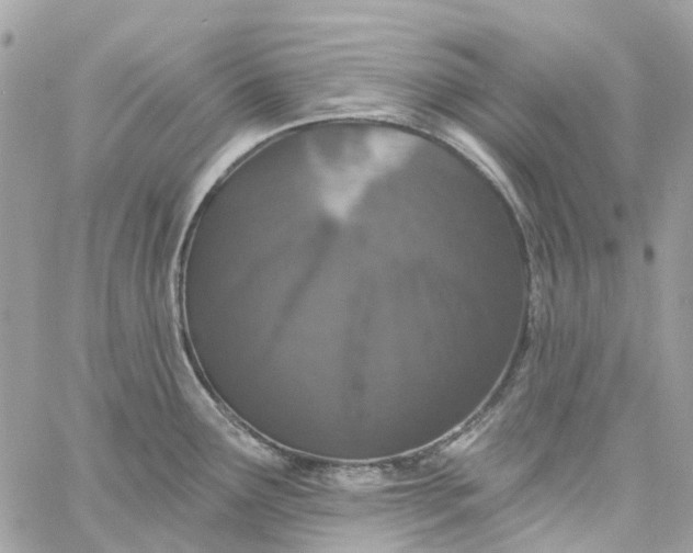 X0000059241291200510281921