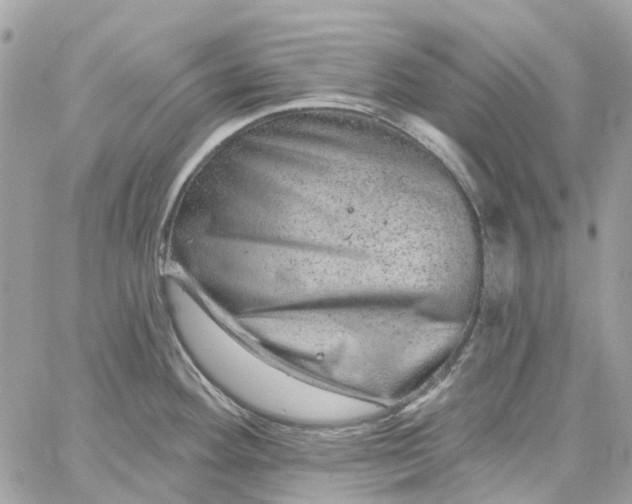 X0000059241292200510281921