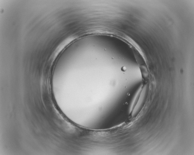 X0000059241293200510281921