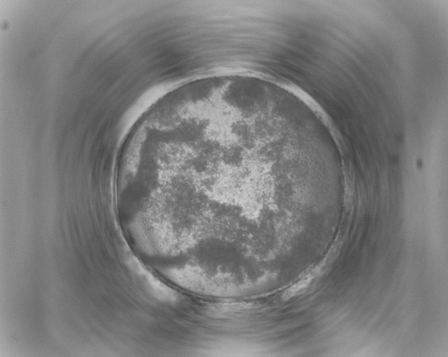 X0000059241294200510281921