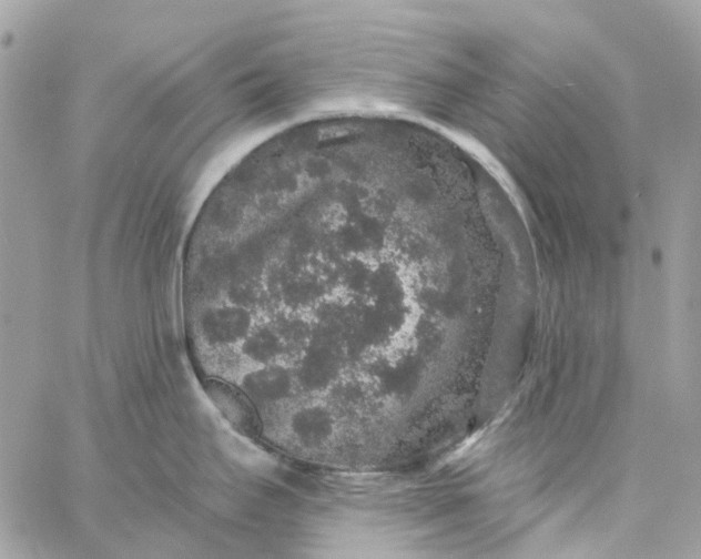 X0000059241295200510281921