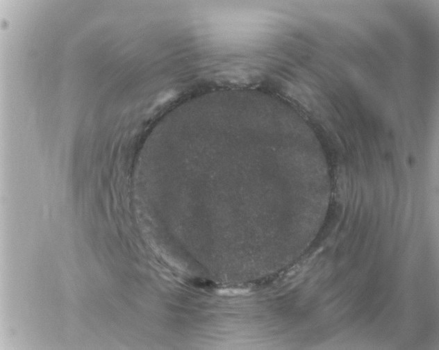 X0000059241297200510281920