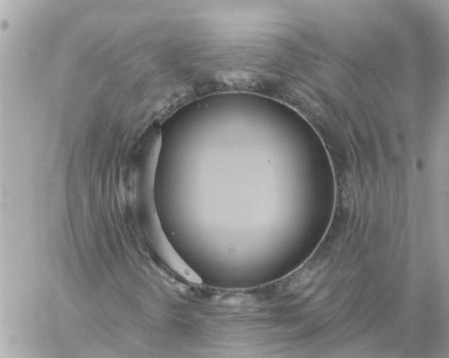 X0000059241298200510281920