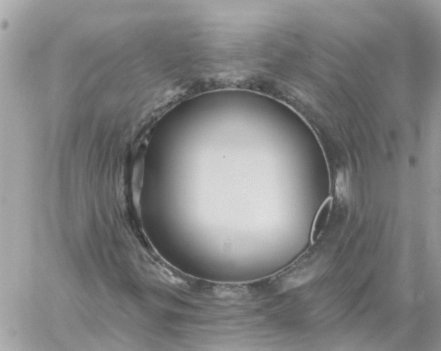 X0000059241299200510281920